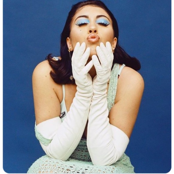 Accessories - Van Raafte opera gloves EUC. 🌸 3FOR $35